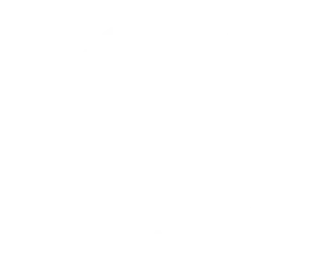 Jojo's Swim School logo white